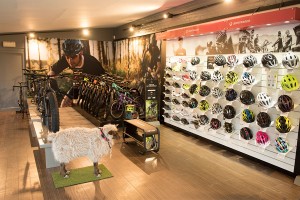 Trek Bicycle Store Brugge