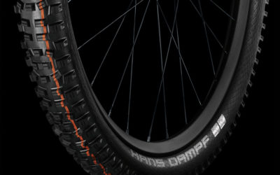 De nieuwe Hans Dampf