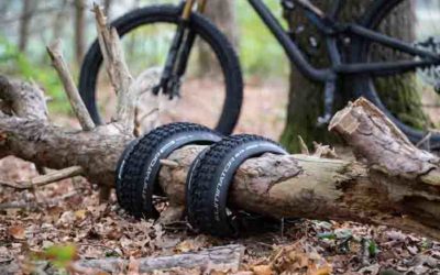 Specialized Eliminator-banden