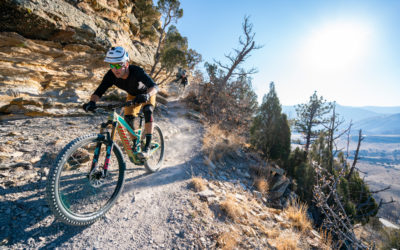 Nieuwe Niner RIP 9 RDO